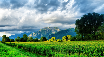 �������� - ����������