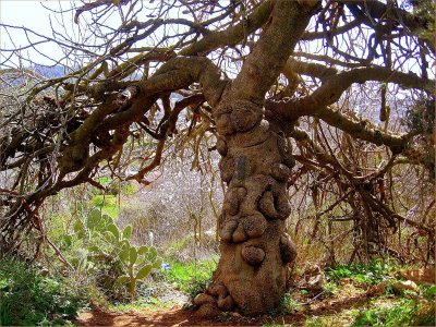 ������� ��������