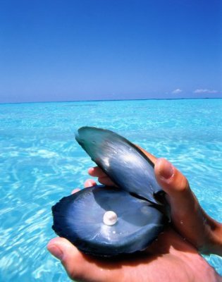 ���������� � ������