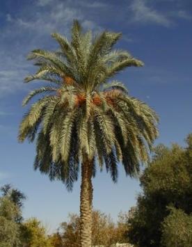 ��������� ������