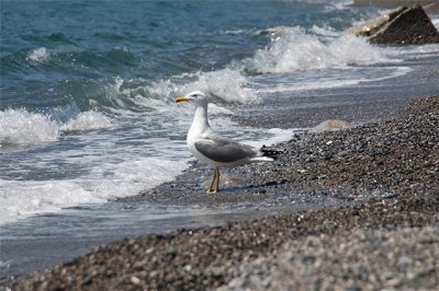 ����������� � ����� ������� ����