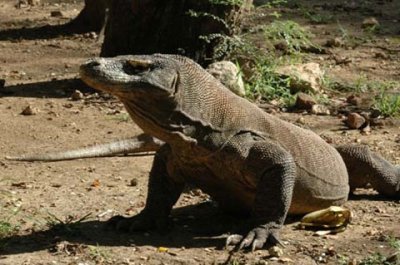 ��������� ����� � ��������� �� ������ ��������