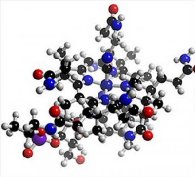 �������� � ����