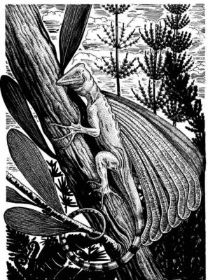 �� �����-������� � ������� ����