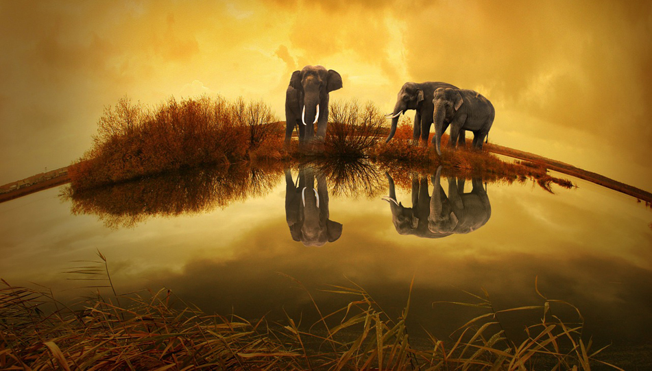 ����� ���